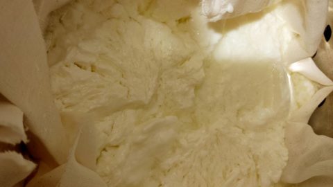 cheese cloth